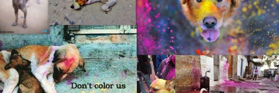 Are you using ‘Holi Colors’ or ‘Holi Poisons’?